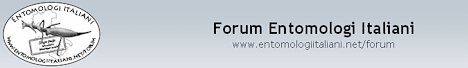 Forum Entomologi Italiani