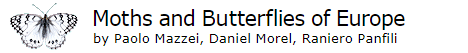 Moths and Butterflies of Europe and North Africa